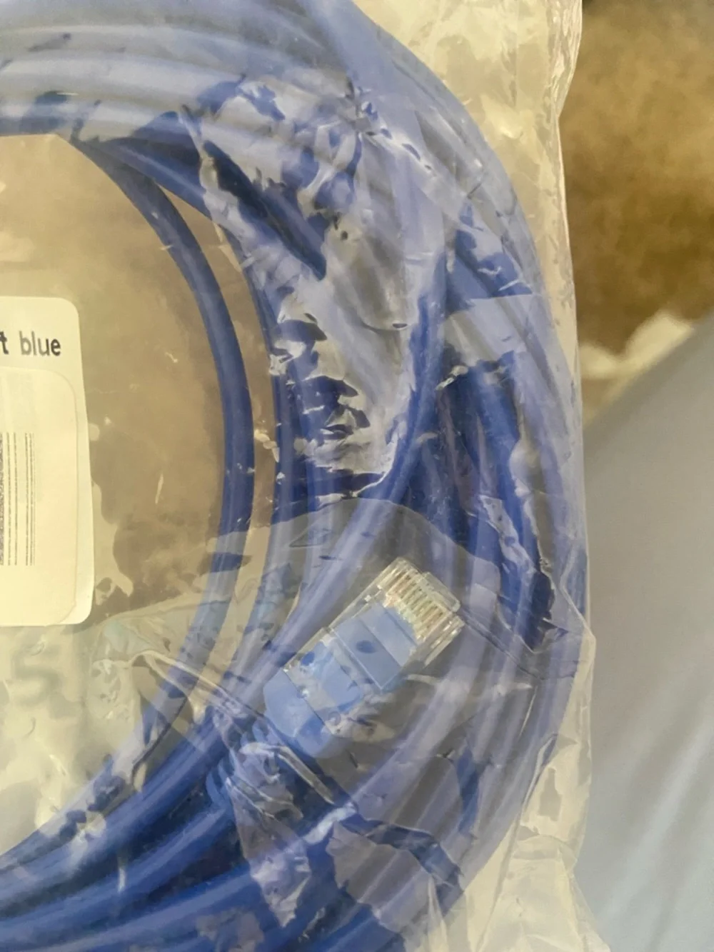 Blue Ethernet Cable - 50ft Patch Cord